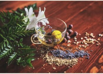 Herbal Recipes for Digestion: Natural Remedies to Support a Healthy Gut